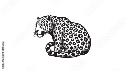 Stylized black and white vector illustration of a leopard resting, showcasing its distinctive spotted fur pattern with fine detail — stock vector.