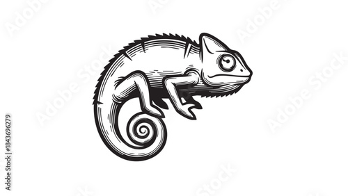 A striking monochrome vector illustration of a chameleon in a classic engraving or linocut style, showcasing its distinctive shape and coiled tail — stock vector.