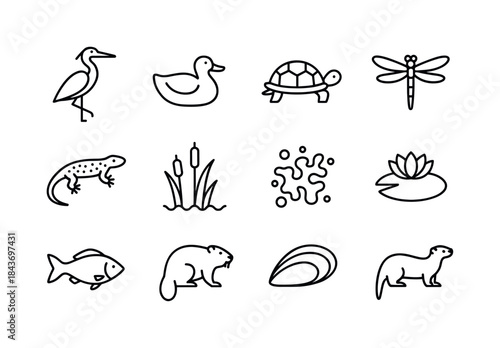 Wetland Icon Collection. Wetland biodiversity. Line icon set of