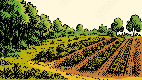 Farming Story Hand Drawn Illustration by AZ for Social Media Asset, Postcard, Greeting Cards, Prints and Design