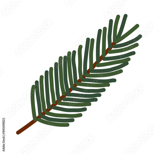 Winter Pine Needle Branch in Flat Hand Drawn Style