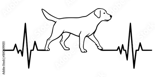Heartbeat line with the outline of a Labrador Retriever. Design for dog lovers.