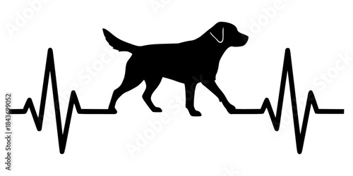 Heartbeat with Labrador Retriever. Design for dog lovers.