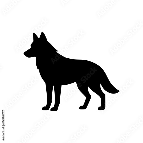 wolf vector illustration