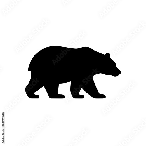 vector illustration of a bear