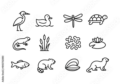 Wetland Icon Collection. Wetland biodiversity. Line icon set of
