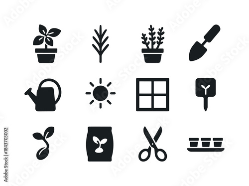 Herb Growing Icons. Growing herbs on a windowsill. Solid icon se