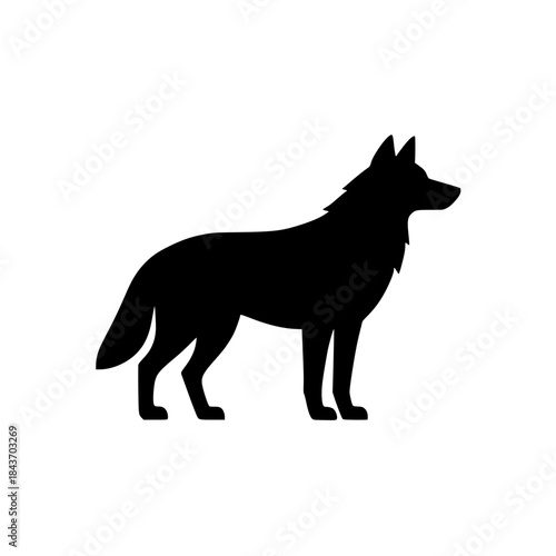 wolf vector illustration