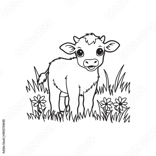 Adorable Baby Cow Standing in a Field