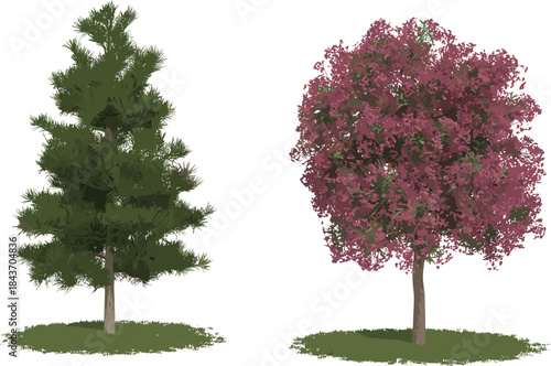 Coniferous and deciduous trees illustration with grassy base, botanical nature vector for educational, seasonal, landscape, forest, garden, and park themes.