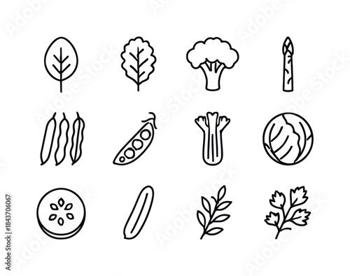 Green Veggie Icons. Green vegetables. Line icon set of green veg