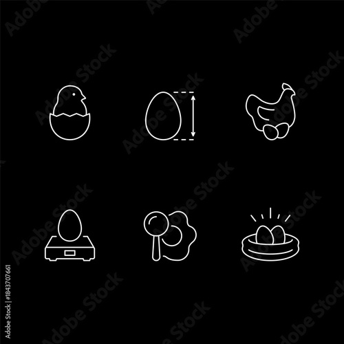 Set line icons of egg