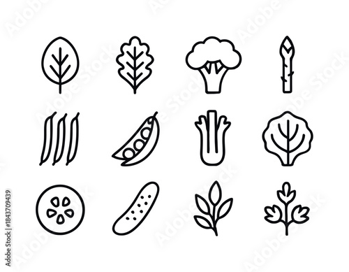 Green Veggie Icons. Green vegetables. Line icon set of green veg