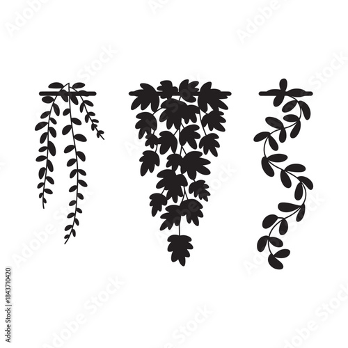 Three botanical silhouettes of hanging plants and leafy branches displayed on white