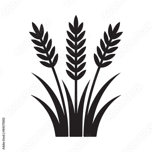 A simple black and white illustration of three wheat stalks with leaves