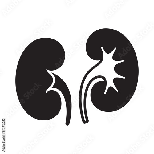 A simple illustration depicting a pair of human kidneys in black and white