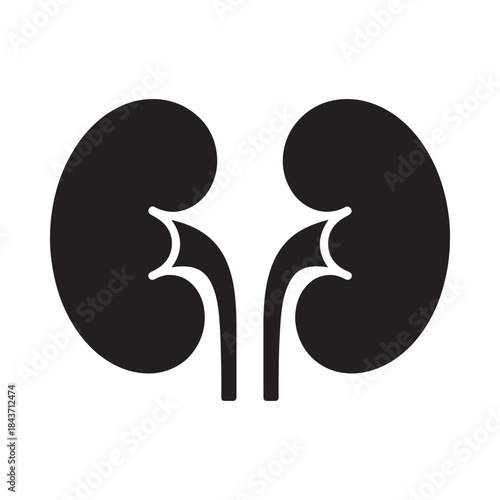 Simple black and white illustration depicting a pair of human kidneys