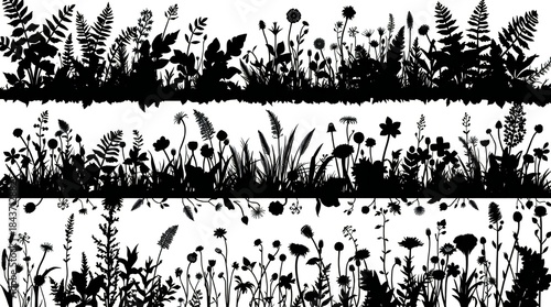 Fototapeta Naklejka Na Ścianę i Meble -  Black silhouette of wild meadow grass and flowers against a white background