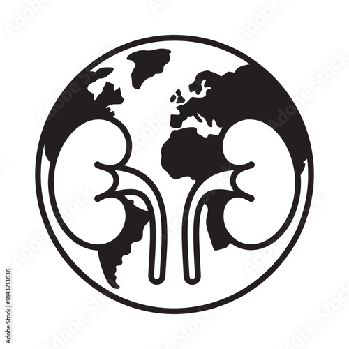 A global representation of human kidneys within a circular frame