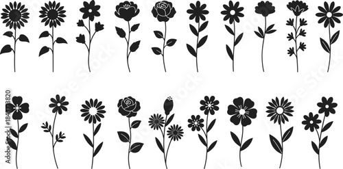 Flower silhouette collection, 20 floral designs, botanical variety, petal shapes, nature art, decorative set, flat vector