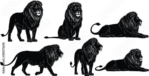 Black Silhouettes of Majestic Adult Male Lions in Various Poses, Including Standing, Sitting, and Lying Down, Hand-Drawn Vector Set for Wildlife and Nature Design