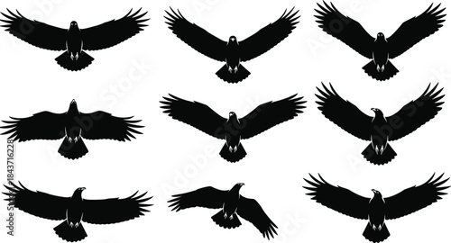 Black Silhouettes of Nine Flying Eagles and Hawks Spreading Wings in a Vector Set for Wildlife, Mascot, and Hunting Designs, Majestic Birds of Prey in Motion, Isolated on White Background.