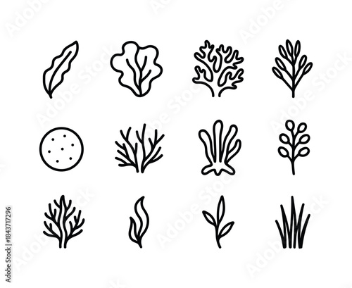 Tide Pool Icon Set. Tide pool plants and algae. Line icon set of