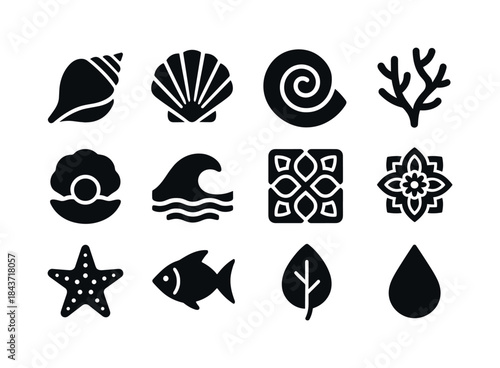 Shell Art Icons. Shell art. Solid icon set of shell art: conch s