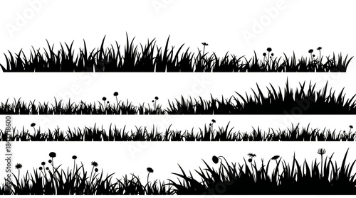 Black silhouette of wild grasses and flowers on white background
