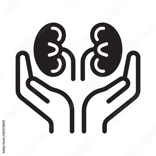 Hands cradling human kidneys a symbol of organ health and donation