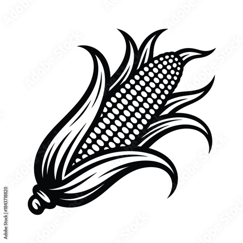 Detailed black and white illustration of a single cob of corn with husk