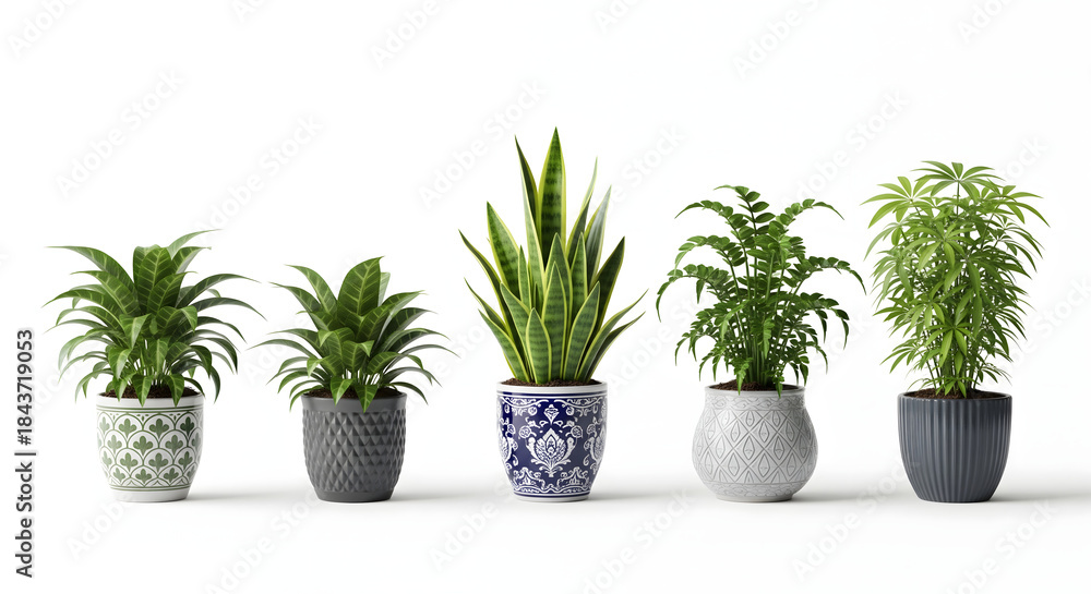 Fototapeta premium Harmony of Greens: A captivating collection of potted plants, each showcasing unique foliage and textures, harmoniously arranged to bring a touch of nature indoors. 