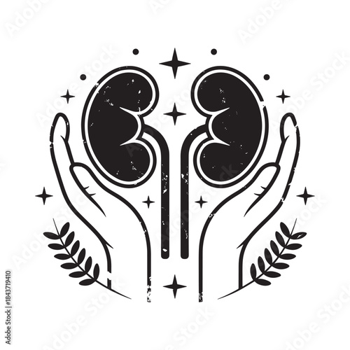 Hands cradling kidneys with sparkling elements and botanical leaves illustration