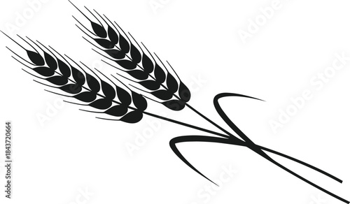 Wheat ear silhouette illustration featuring grain stalks in elegant minimal black design, agricultural cereal crop vector symbol for farming and bakery branding