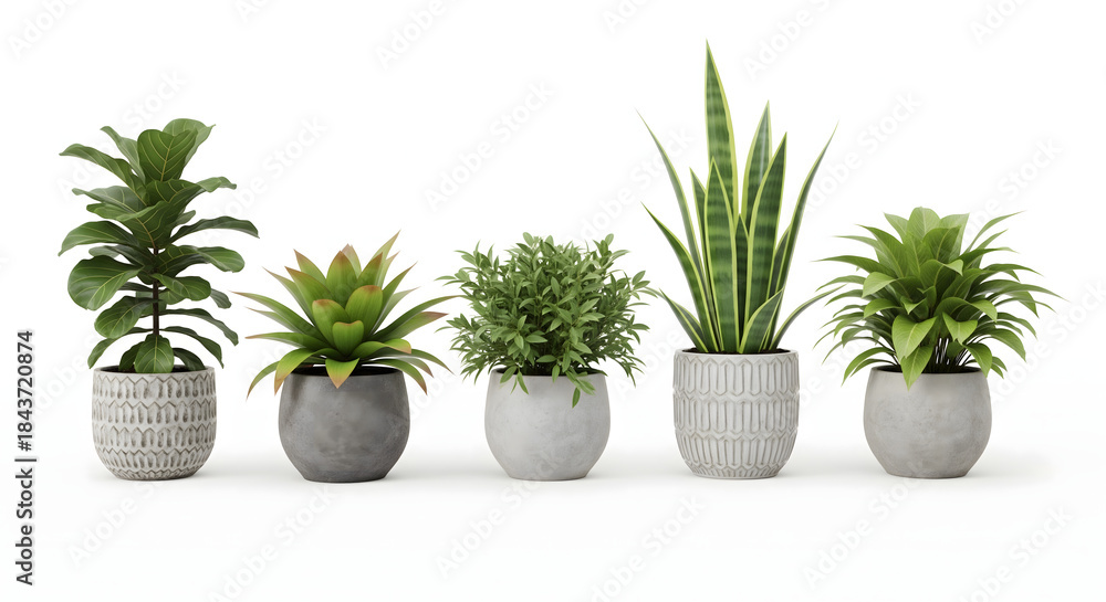 Fototapeta premium Botanical Harmony: An organized array of indoor greenery, including a fiddle-leaf fig and various other potted plants, create a sense of botanical serenity