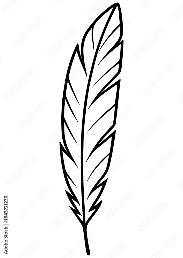 Fototapeta premium Black and white feather vector illustration. Perfect for engraving, laser engrave, prints and creative projects. Clean line art design