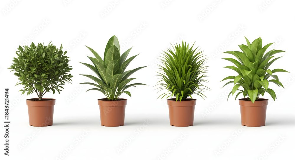 Fototapeta premium Green Life Quartet: A collection of four potted plants, each showcasing a unique foliage type, symbolizing growth and the beauty of nature's variety.