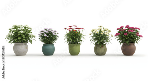 Blooming Beauty: An array of vibrant potted flowers, showcasing a spectrum of colors and botanical diversity, adds a touch of natural elegance