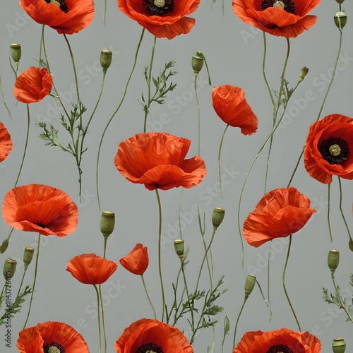 seamless pattern with poppies