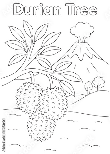 coloring book Durian tree near volcano mountain landscape