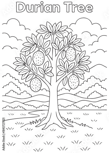 coloring book Durian tree in countryside with cloudy sky and hills