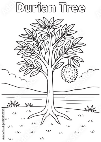 coloring book Durian tree on hillside with shrubs and clouds