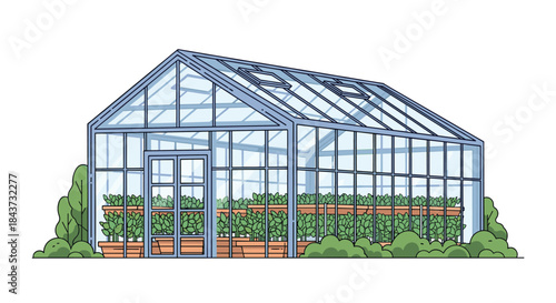 A beautiful and detailed line art illustration of a large glass greenhouse filled with rows of healthy growing plants.