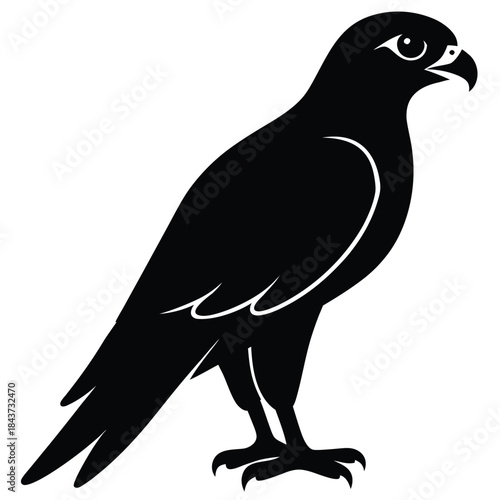 Graceful hawk silhouette, majestic avian predator, sharp vision hunter, bird of prey emblem
