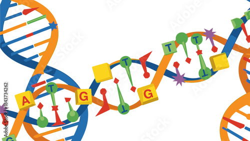 Illustration of a DNA double helix structure with colorful nucleotides and base pairs on a white background, conveying a scientific and medical concept.