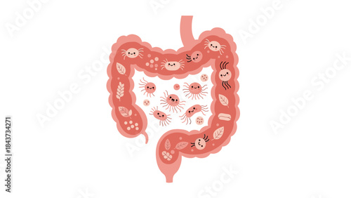 Illustration of the human large intestine with visible internal structures on a plain white background, conveying a medical educational theme.