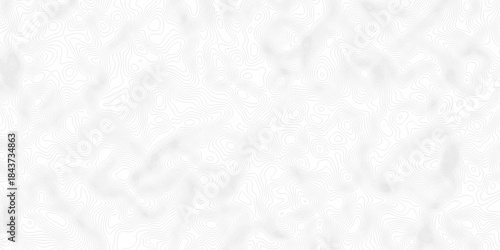White topography topology vector white background fresh contour map texture. white seamless pattern Abstract background with a wave Topography and geography map grid abstract backdrop.