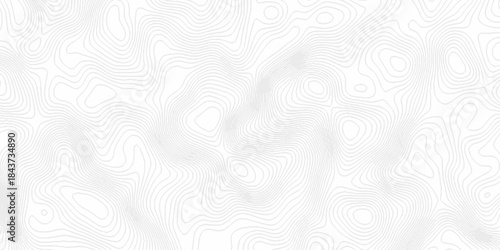 White topography topology vector white background fresh contour map texture. white seamless pattern Abstract background with a wave Topography and geography map grid abstract backdrop.