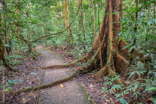 View along the Deer Cave Trail, Gunung Mulu National Park, Sarawak, Borneo, Malaysia