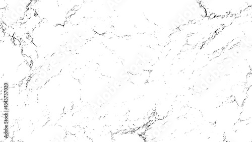 white marble texture with gray veins